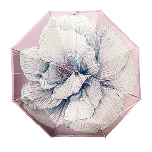 FABRETTI [105988]