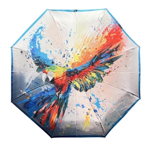 FABRETTI [105997]