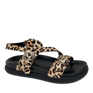 HELMAR TREND [110733]
