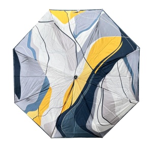FABRETTI [110888]
