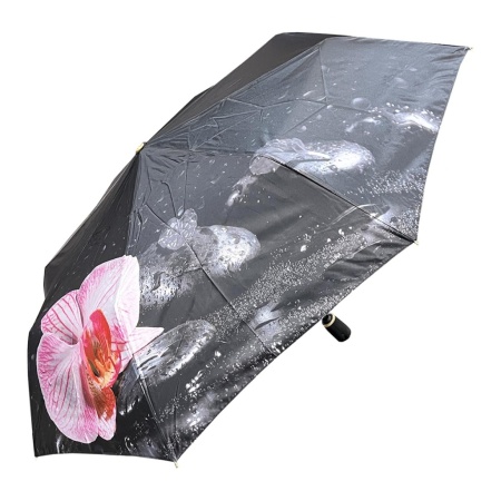 Три слона [109341]