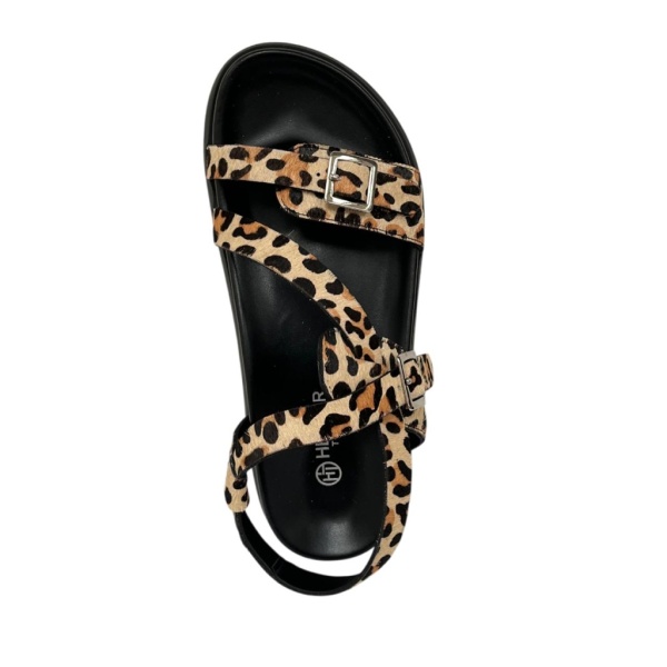 HELMAR TREND [110733]