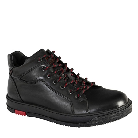 SHOIBERG 739-38-01-01W